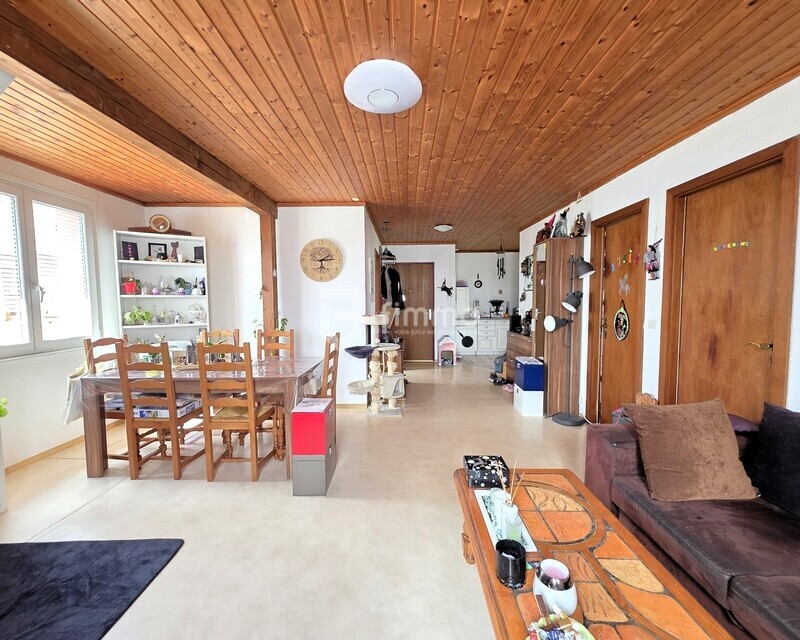 Appartement F3 avec garage et parking à Balschwiller (68210) - salon salle à manger