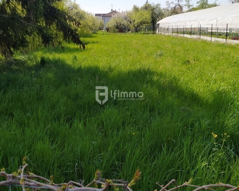 Terrain de construction 1000 m² - Screenshot 20250506 183610 messages