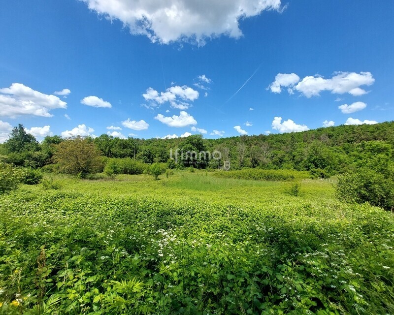 Terrain à bâtir de 4368m² - 20250514 145824  1 