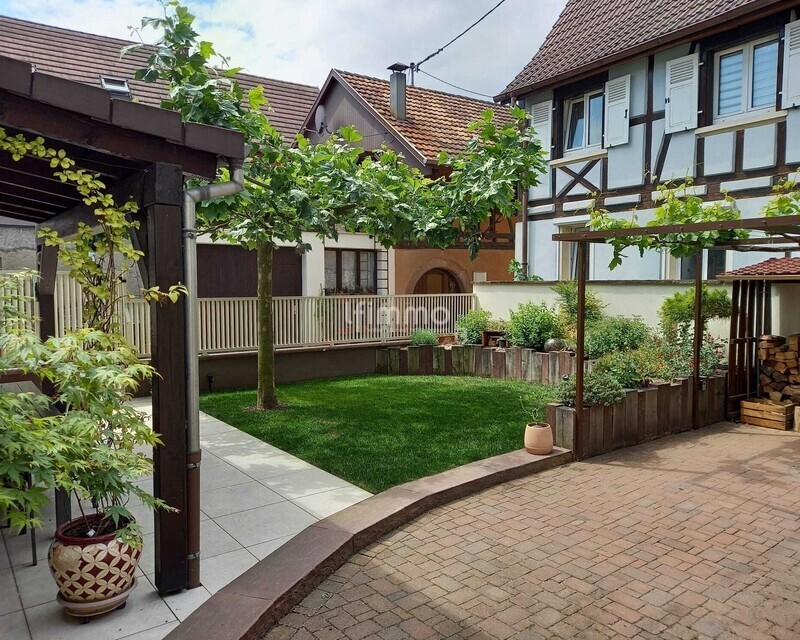 A vendre maison Alsacienne  - Jardin
