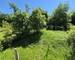 Belle maison de 139 m2 habitables à Langensoultzbach.  - 20250510 124627