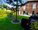 Maison, jardin terrasse box et parking - Jardin