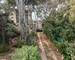 Exclusivité - Villa avec cadre exceptionnel - 13009 Marseille - Img20250405131133