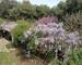 Exclusivité - Villa avec cadre exceptionnel - 13009 Marseille - Img20250405130103