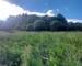 Terrain constructible de 755m² - 02563911-049c-4a46-8735-525df82b172f