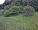 Terrain constructible de 755m² - 07ab809d-b47e-4971-8889-b90003cec2dd
