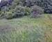 Terrain constructible de 755m² - 8e543b36-b032-4768-bb67-6824d859c9b8