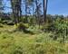 Magnifique maison en ossature bois construite sur 93.56 ares.   - 20250514 161526