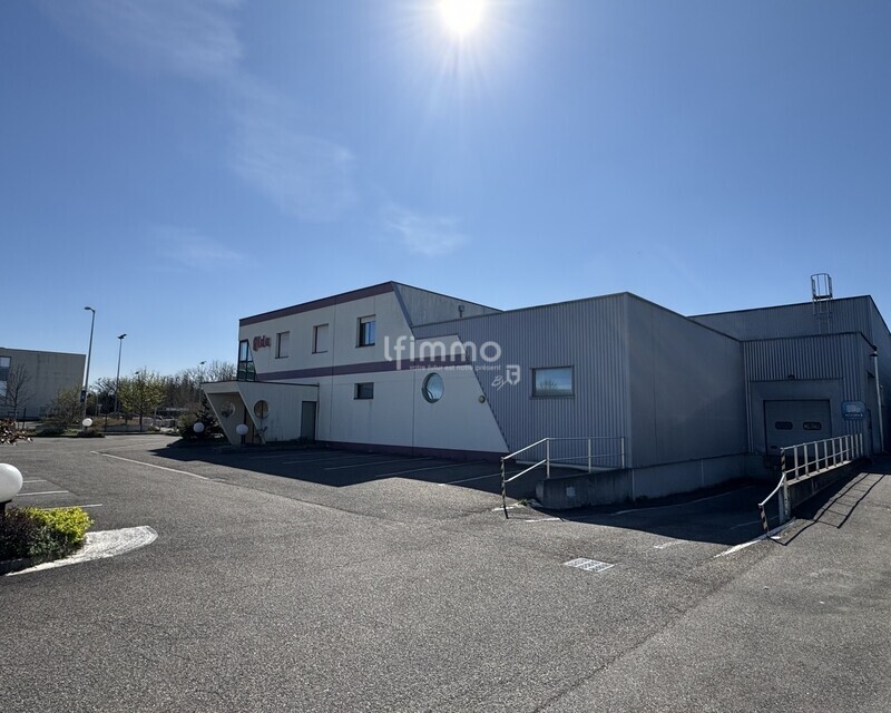 Ensemble immobilier industriel à Wittenheim (68270) - Haut-Rhin - 2025-04-05 15.41.08