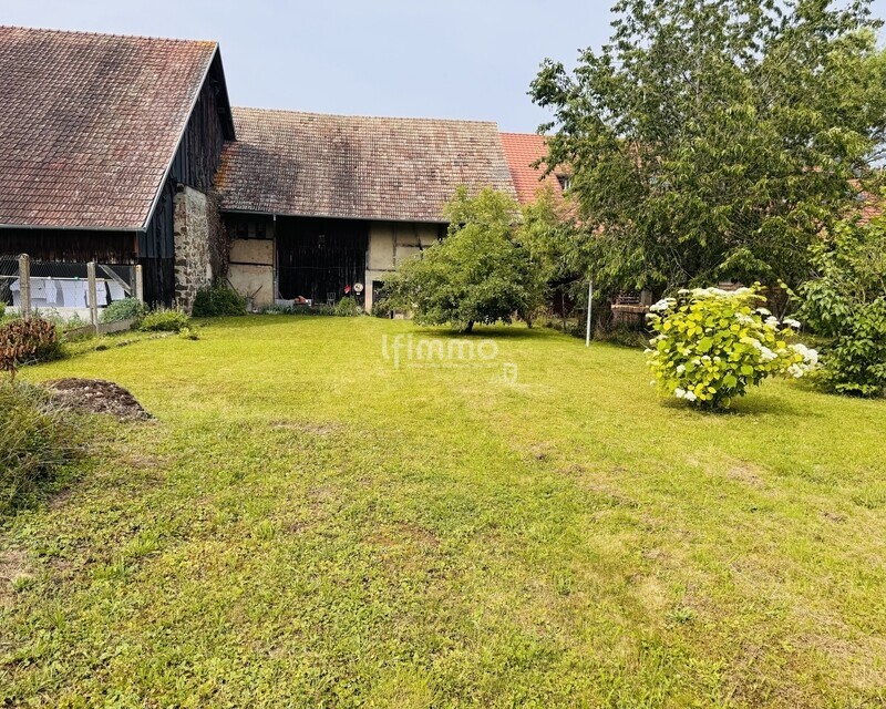 Maison Alsacienne de 147m2 + grande dépendance et terrain  - Img 1716