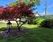 Maison 4 pièces sous sol total - Jardin avant