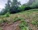 Terrain de 692m² à Orschwiller - 20250605 135418