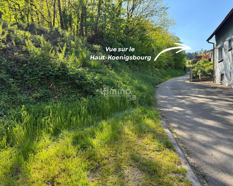 Terrain de 692m² à Orschwiller - Vue sur le haut-koenigsbourg