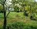 maison  de village de 90m² 2 chambres - jardin
