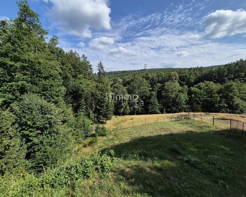 Belle maison de 4 pièces à Mouterhouse.  - 20250703 172303