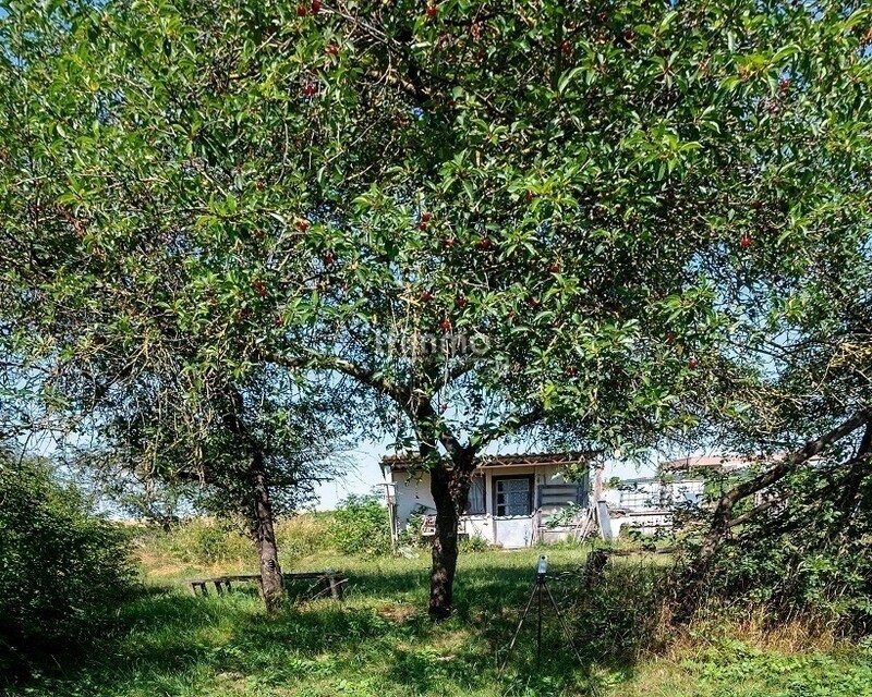 Agréable terrain de loisir 2550 m² - Cabane ys15672
