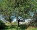 Agréable terrain de loisir 2550 m² - Cabane ys15672