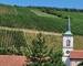 Maison bourgeoise 277m2 sur 12,5 ares - vue sur les vignes