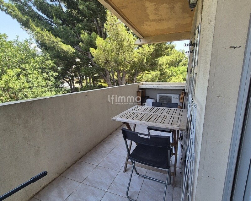 T2 43M2 Terrasse 9M2 St Tronc - 20250626 140843