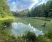 Vente plan d'eau 54480  Cirey Sur Vezouze - 1111