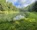 Vente plan d'eau 54480  Cirey Sur Vezouze - 11111