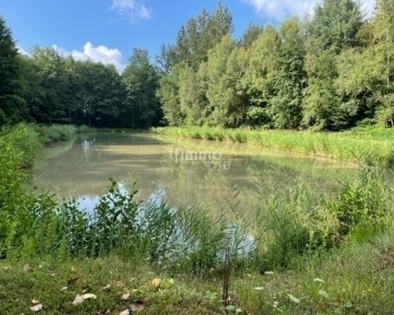 Vente plan d'eau 54480 Cirey Sur Vezouze - 1