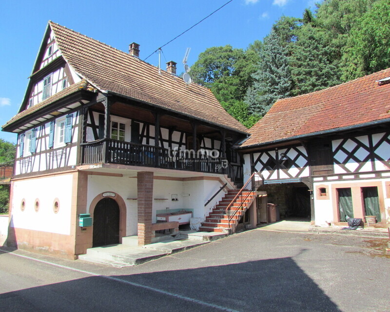 Maison alsacienne avec 2 dépendances, sur 33 ares - Img 3144