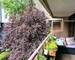 Joli appartement 2P traversant avec grand balcon - 6dfdce91-3a32-4fa0-9eb7-04f7c0e2b915 1