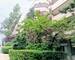 Joli appartement 2P traversant avec grand balcon - Fcac61d8-0178-4b2d-86c4-bb8a71b3cd1a 1