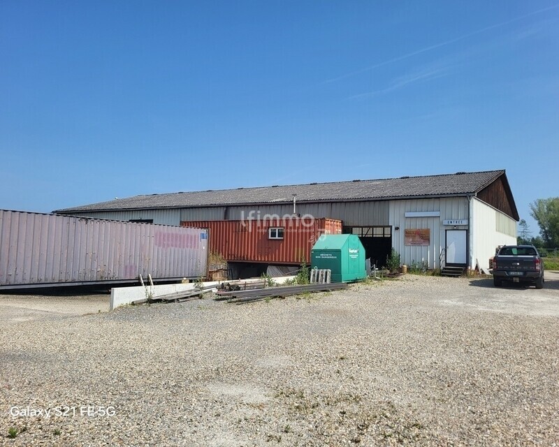 Local Professionnel à Betschdorf - 20250613 105117