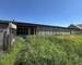 Hangar sur beau Terrain  - Img 4936  003 