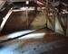 Corps de ferme sur 6335 m² de terrain - combles