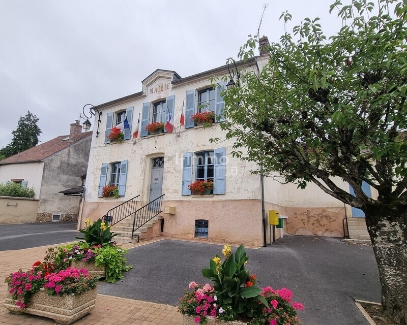 Maison ancienne rénovée – Saint-Germain-sous-Doué (77169) - 20250716 142417