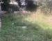 terrain constructible  - Img 6533