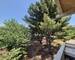 T2 43M2 Terrasse 9m2 StTronc - 20250626 140822