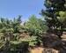 T2 43M2 Terrasse 9m2 StTronc - 20250626 140851