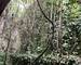 Deux chais d'une surface totale d'env. 460 m2 - Img 20250730 152405