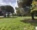 Maison de 147 m2 195 000€ FAI - Img 20250719 105951