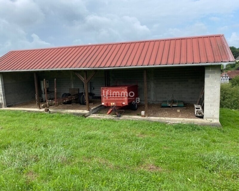 Grande maison pres Woerth - 5