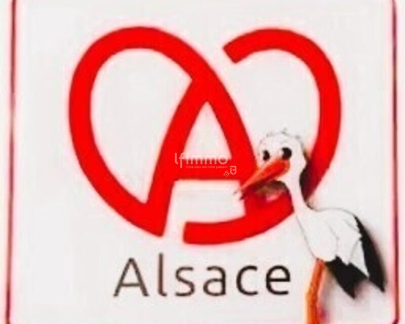 Murs commerciaux multi usages à 67100 Strasbourg - Logo alsace bretzel et cigogne