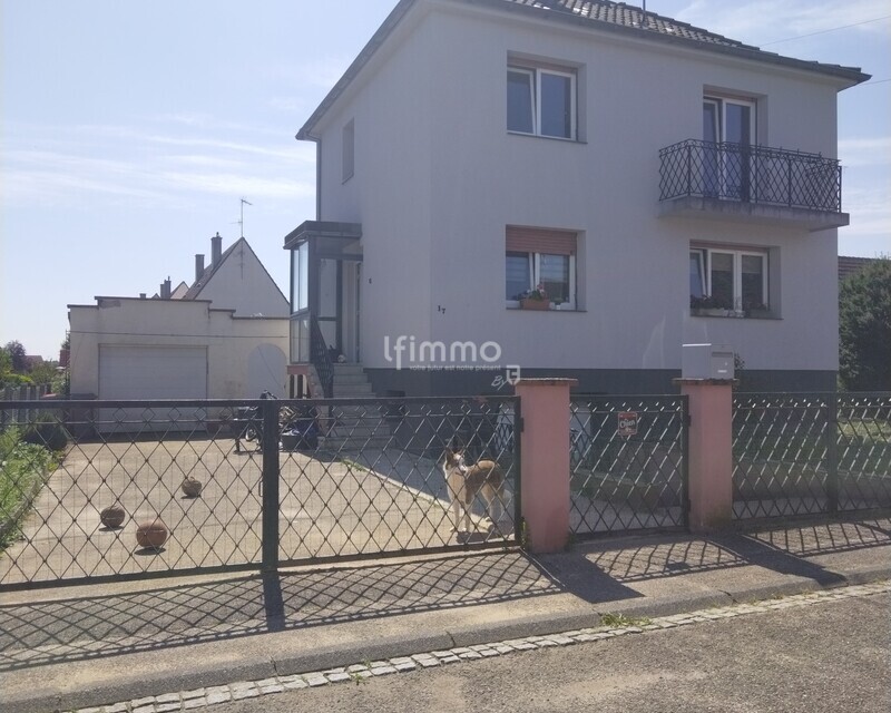 Maison à Hatten 67690 - Img 20250819 142542