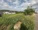 Terrain constructible de 503 m2  - Img 4864