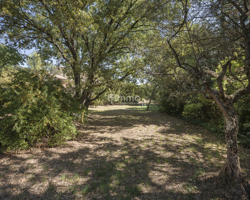 Belle maison familiale avec piscine sur 3900m2 arborés plein sud. - Dsc9942-hdr