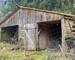 Ancienne maison forestière - Vente interactive - Abri maison forestière Ribeauvillé 