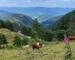 Superbe appartement hyper centre - Vosges