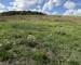 Vente terrain à Batir 57220 Narbéfontaine - Img 1591