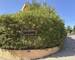  Sanary - T2 31m2 + Terrasse + Parking  - Img 4852 2