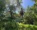 Terrain de 1.2 hectares avec villa 395 m2 et dépendance - Photo-2025-09-22-14-36-571