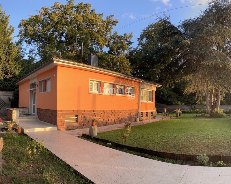 Maison plain-pied sur terrain de 9 ares - Ext