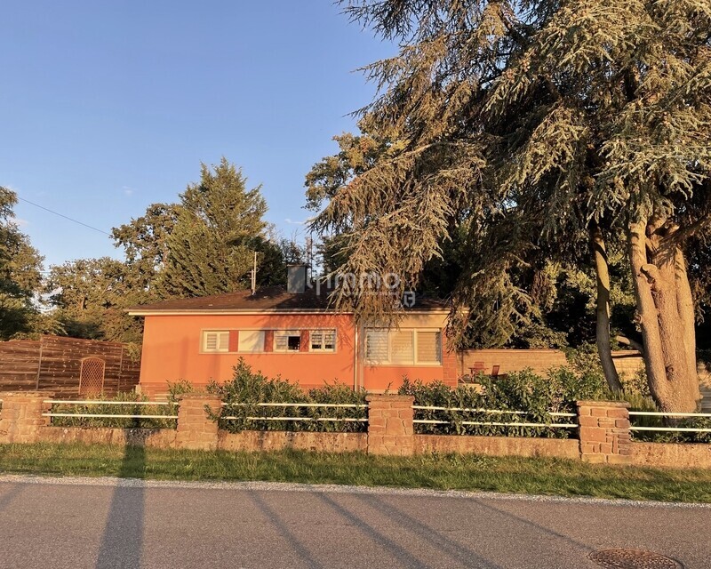 Maison plain-pied sur terrain de 9  ares - Img 3949